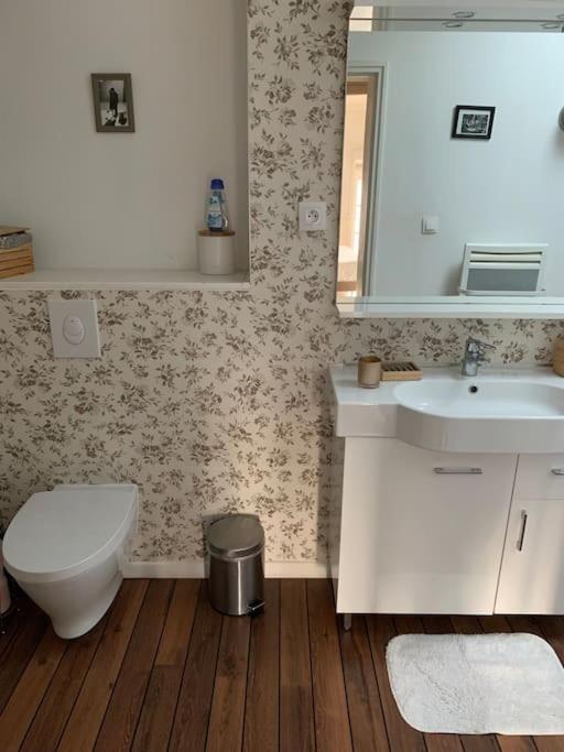 Appartement Duplexcoeur De Ville 메스 외부 사진